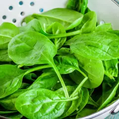 Espinacas frescas y vibrantes en un colador, listas para deliciosas recetas espinacas.