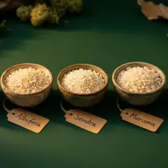 Cinco cuencos con diferentes tipos de arroz, incluyendo arroz Senia o Bomba, sobre fondo verde.