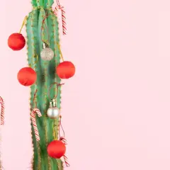 Cactus decorados con adornos navideños rojos y plateados, y bastones de caramelo. Una original decoración con eucalipto para estas fiestas.