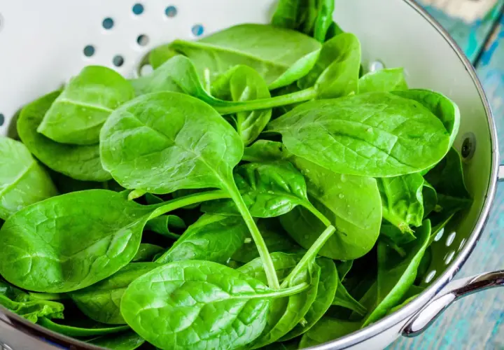 Espinacas frescas y vibrantes en un colador, listas para deliciosas recetas espinacas.