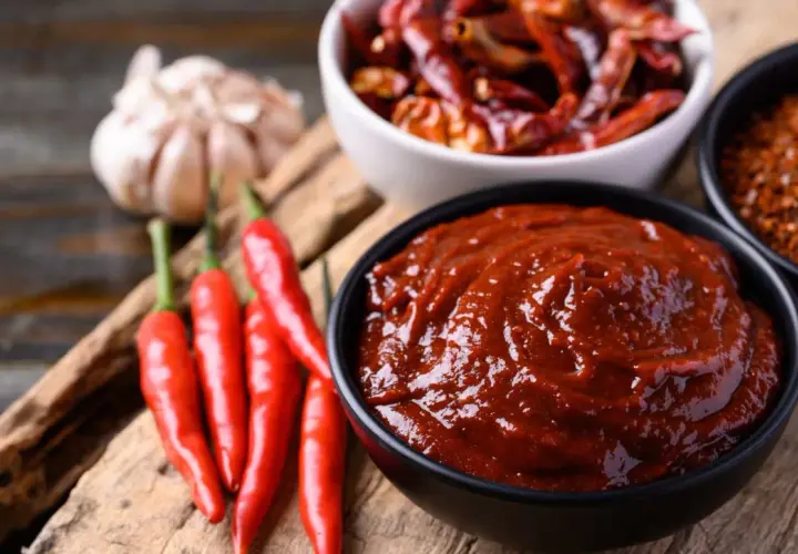 Un tazón de salsa ranchera, con chiles rojos frescos, secos y ajo alrededor.