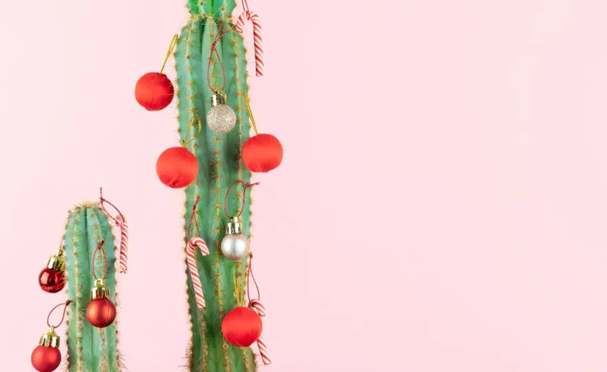Eucalipto en fiestas - Decora con estilo y sin errores