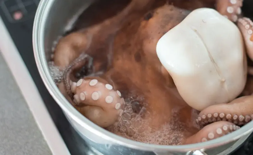 Cómo Cocer Pulpo Tierno - Guía Definitiva