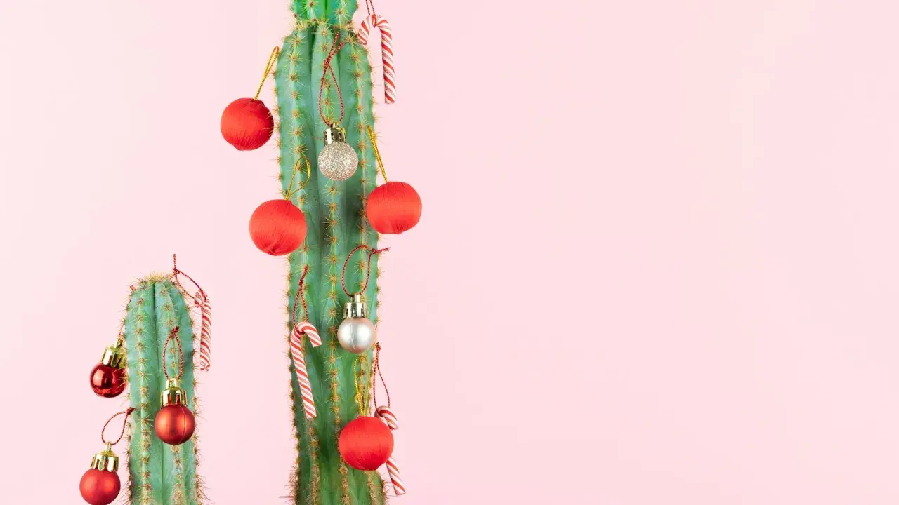 Cactus decorados con adornos navideños rojos y plateados, y bastones de caramelo. Una original decoración con eucalipto para estas fiestas.