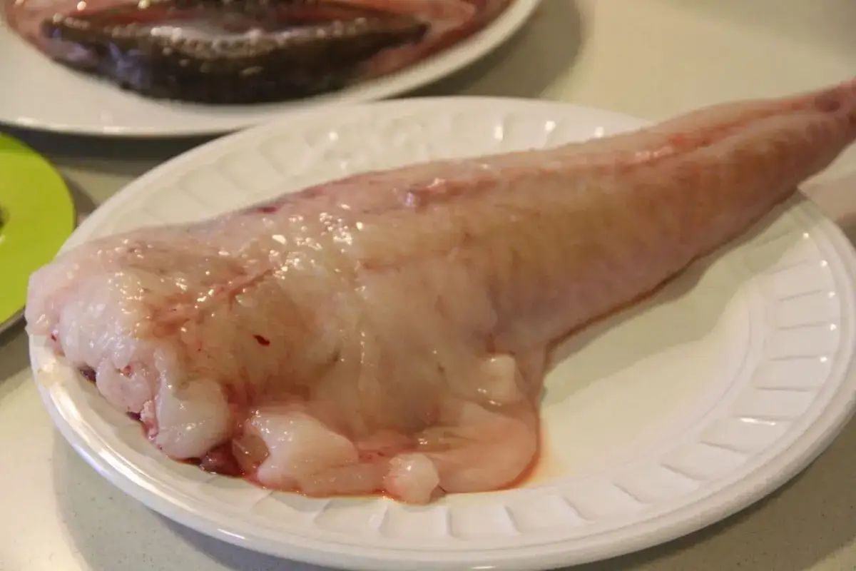 Un trozo de rape crudo, listo para ser cocinado a la plancha, reposa en un plato blanco.